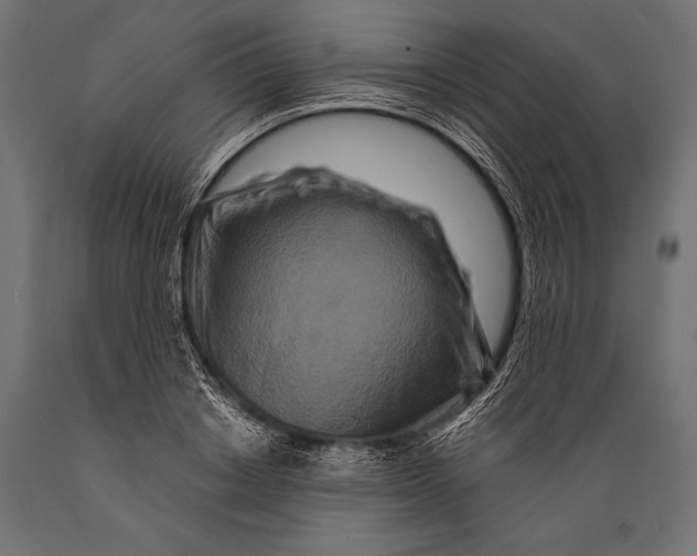 X0000088880842200706291601