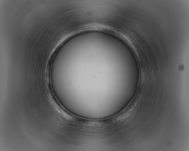 X0000088880843200706291601