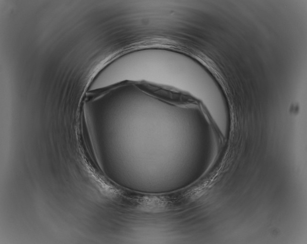 X0000088880850200706291602