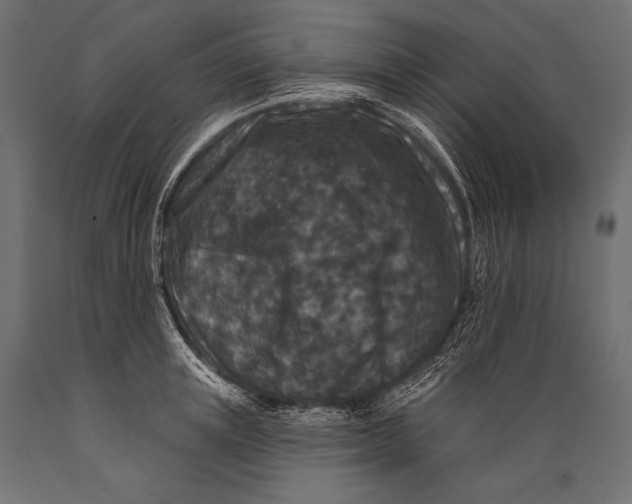 X0000088880851200706291602