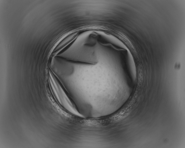 X0000088880852200706291602