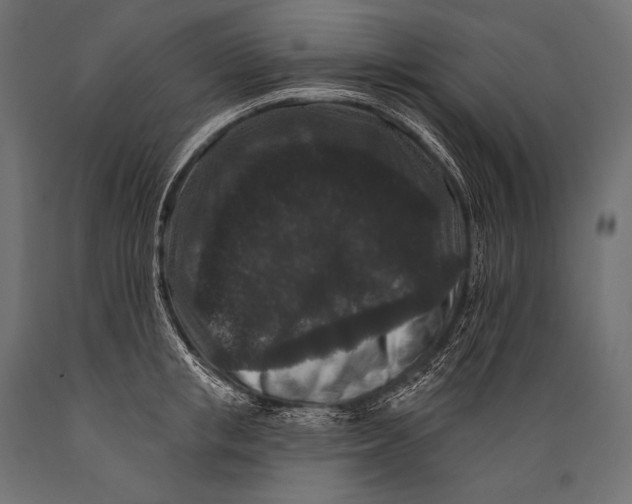 X0000088880853200706291602