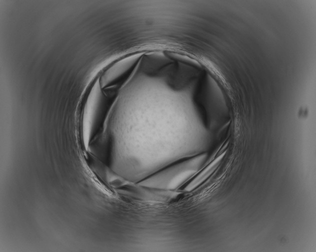 X0000088880854200706291602