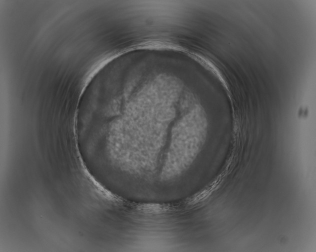 X0000088880855200706291602