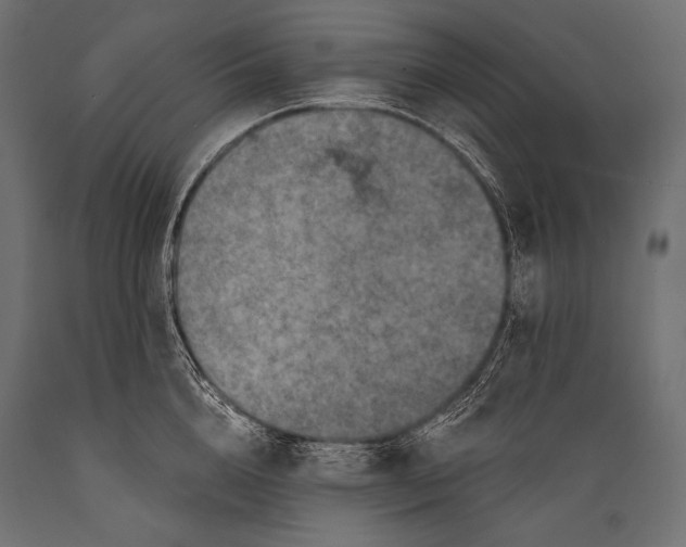 X0000088880856200706291602