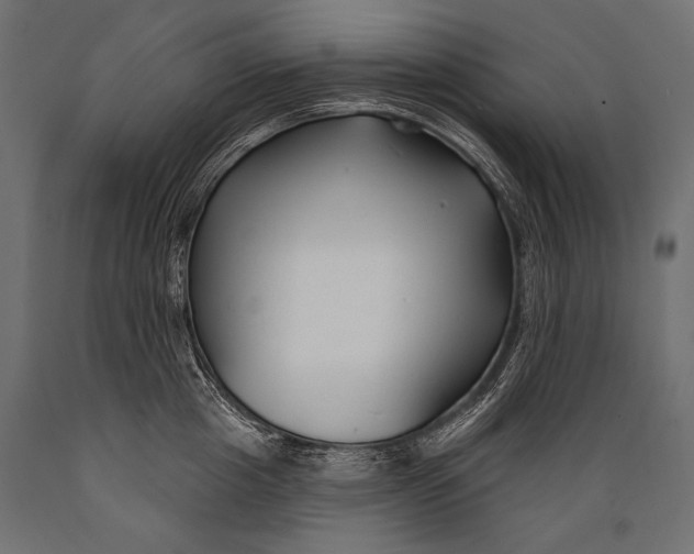 X0000088880857200706291602