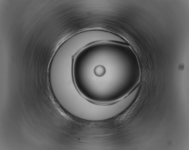 X0000088880858200706291602