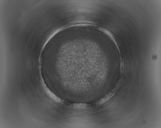 X0000088880859200706291602