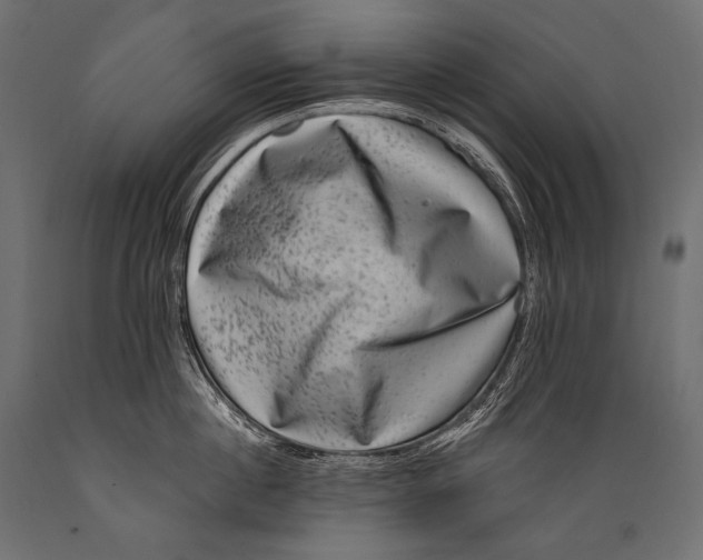 X0000088880860200706291602