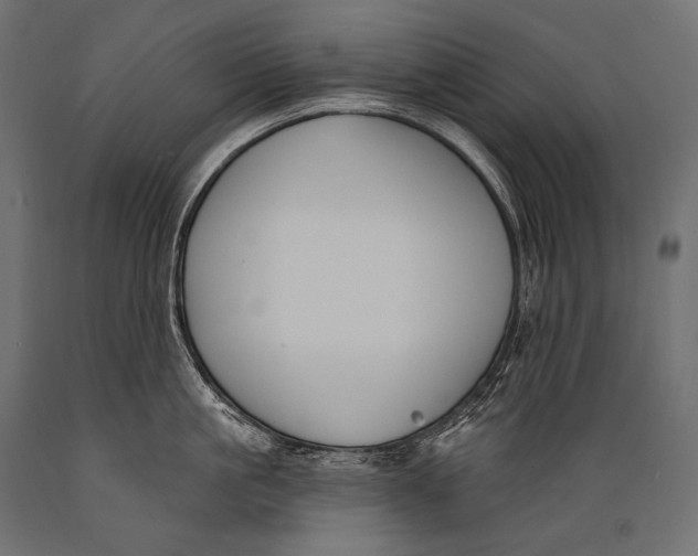 X0000088880861200706291602