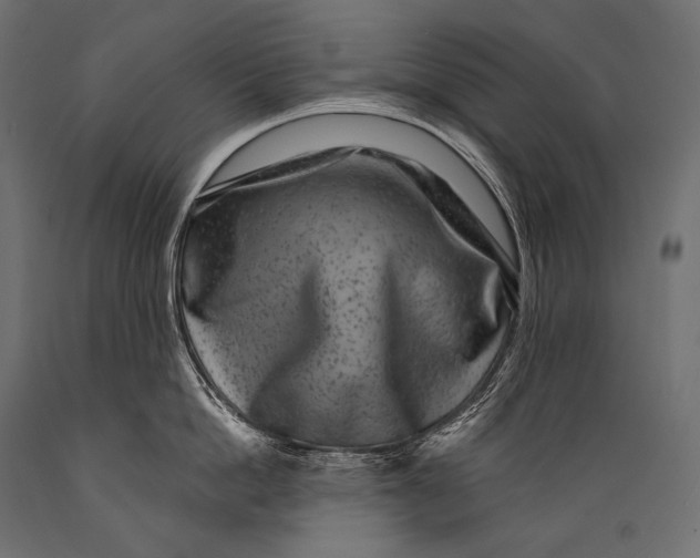 X0000088880862200706291602