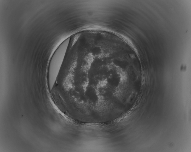 X0000088880863200706291602