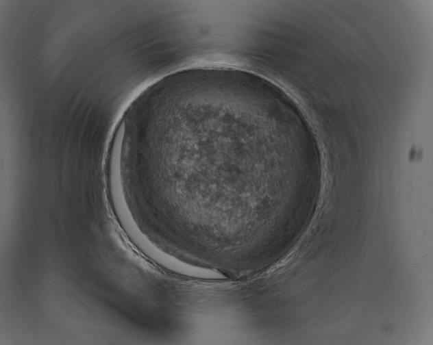 X0000088880864200706291602