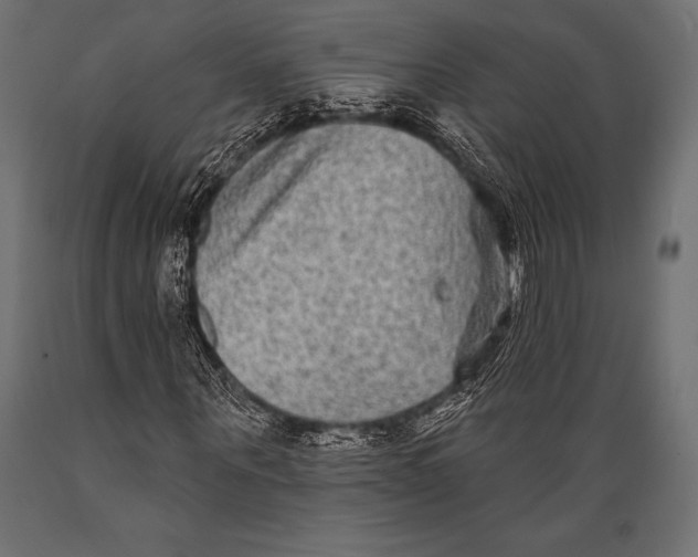 X0000088880867200706291601