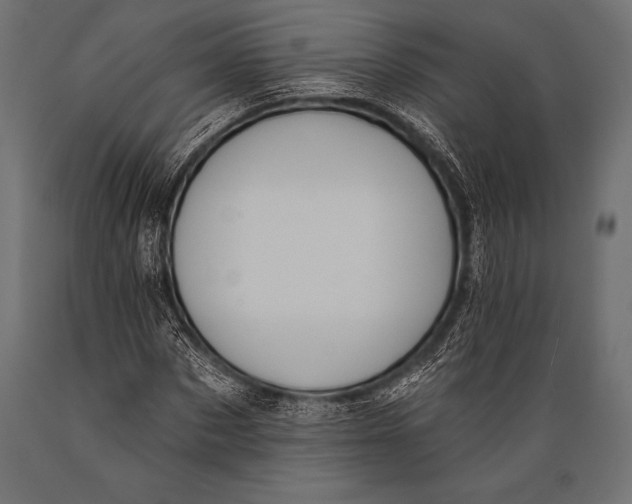 X0000088880873200706291601