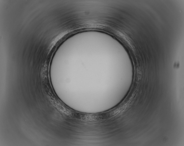 X0000088880875200706291601