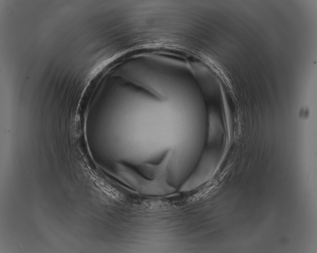 X0000088880876200706291601