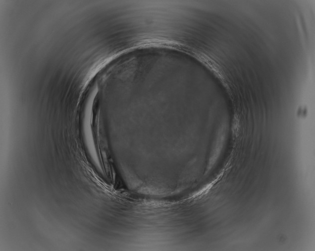 X0000088880877200706291601