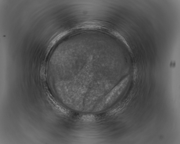 X0000088880882200706291601