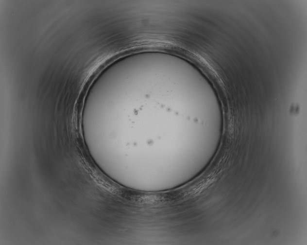 X0000088880883200706291601