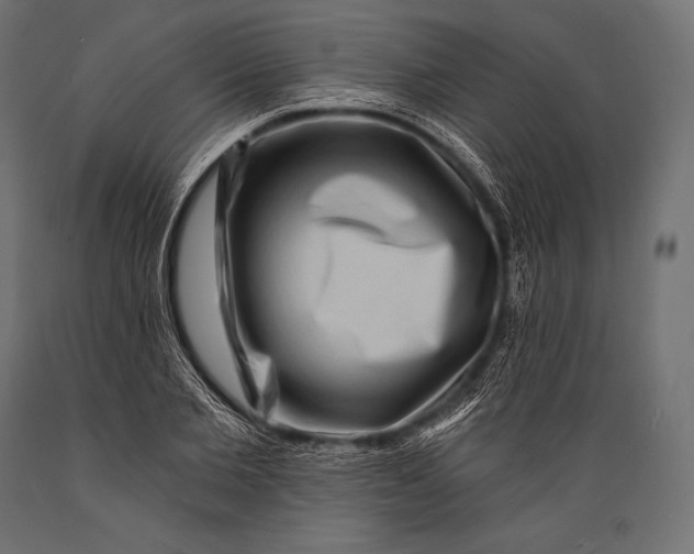 X0000088880885200706291601