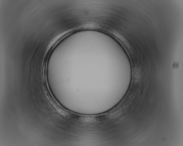 X0000088880886200706291601