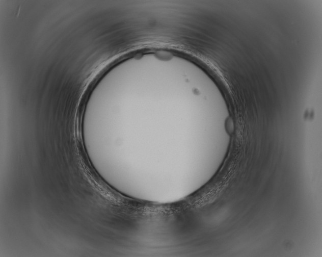 X0000088880887200706291601