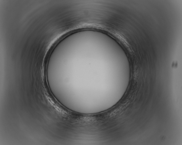 X0000088880888200706291601