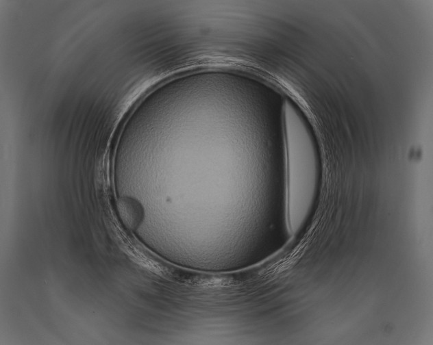 X0000088880891200706291601