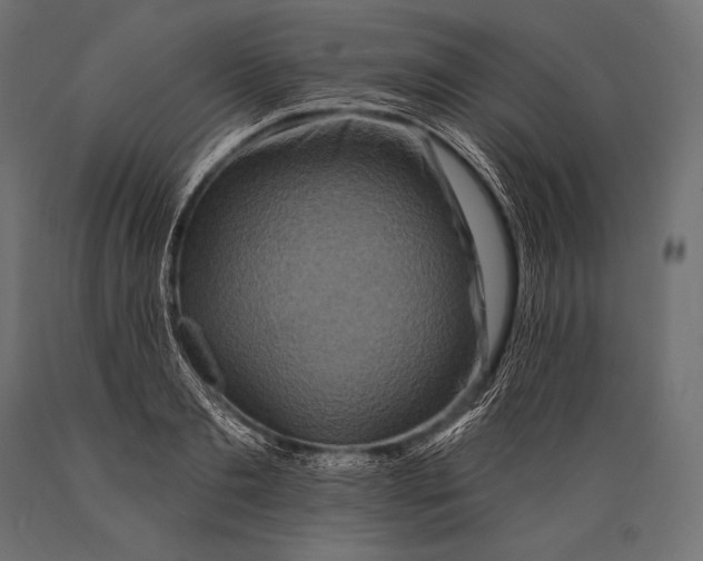 X0000088880893200706291600