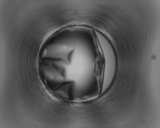 X0000088880894200706291600