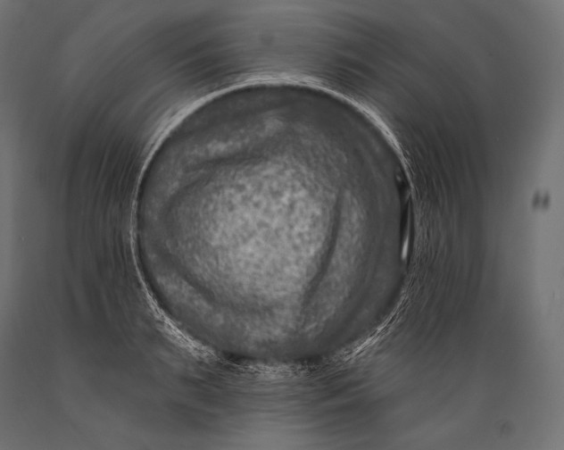 X0000088880895200706291600