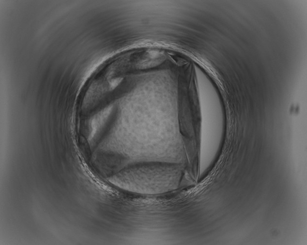 X0000088880896200706291600