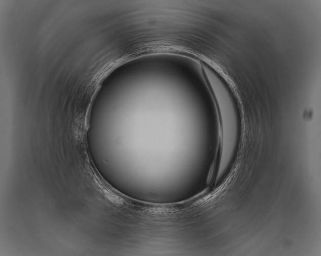 X0000088880897200706291600