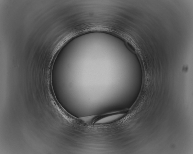 X0000088880898200706291600