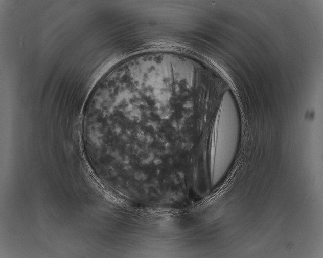 X0000088880899200706291600