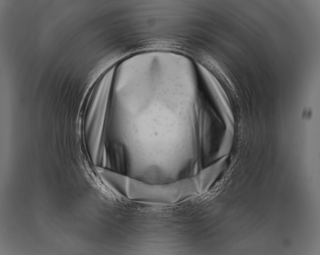 X0000088880900200706291600