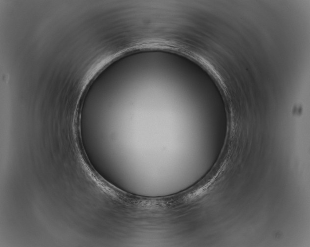 X0000088880901200706291600