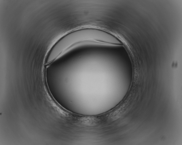 X0000088880902200706291600