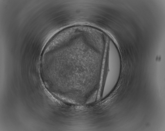 X0000088880903200706291600