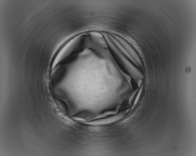 X0000088880904200706291600