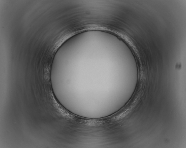 X0000088880905200706291600