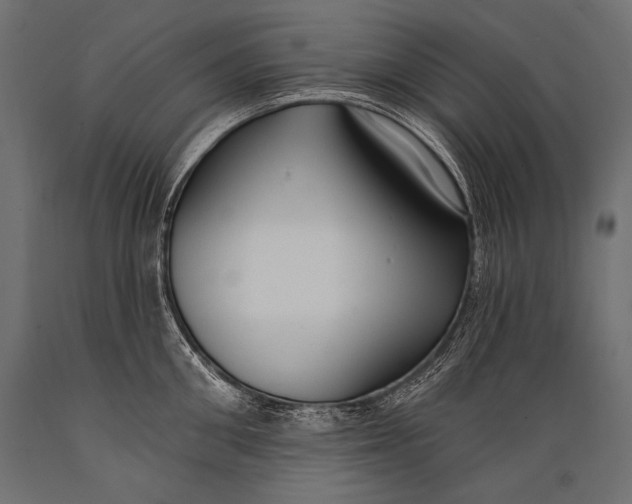 X0000088880906200706291600