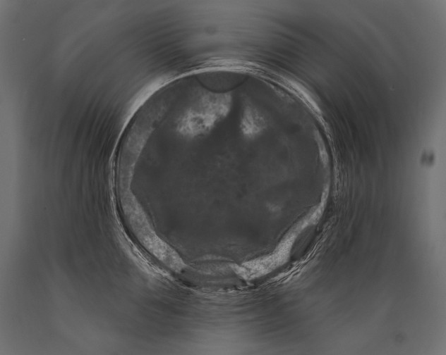 X0000088880907200706291600