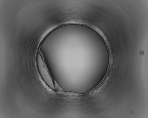 X0000088880909200706291600