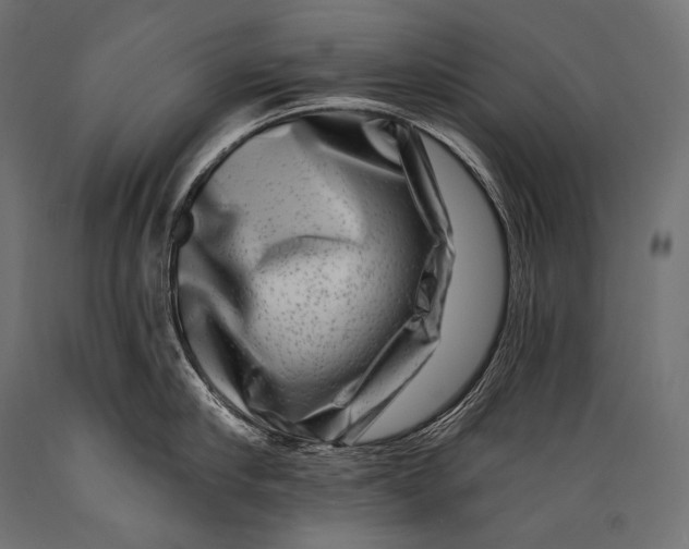 X0000088880910200706291600