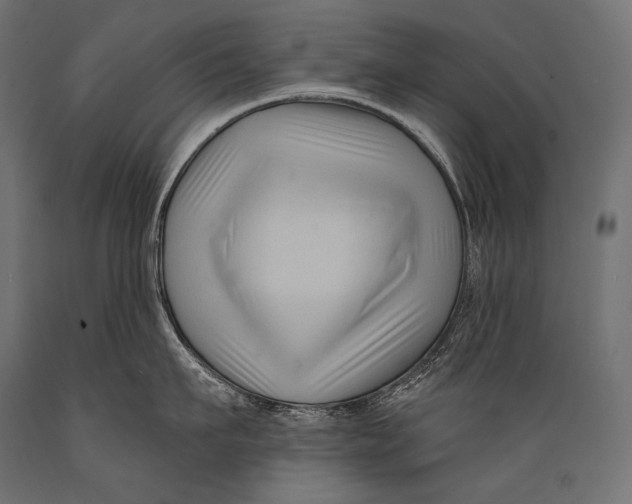 X0000088880911200706291600