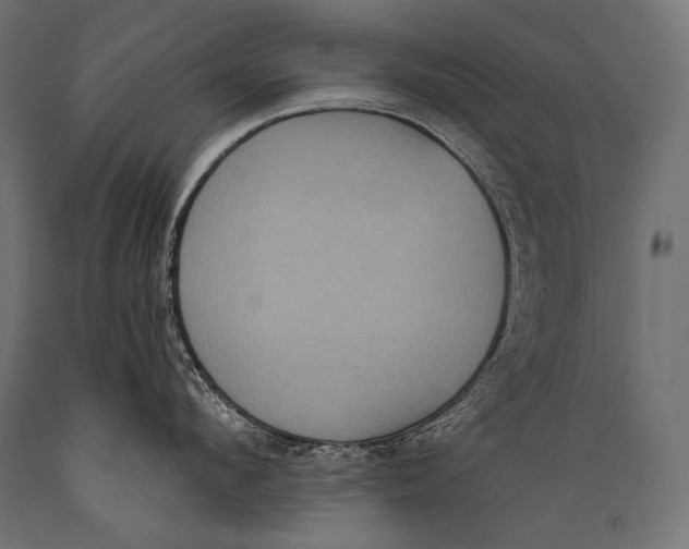 X0000088880912200706291600