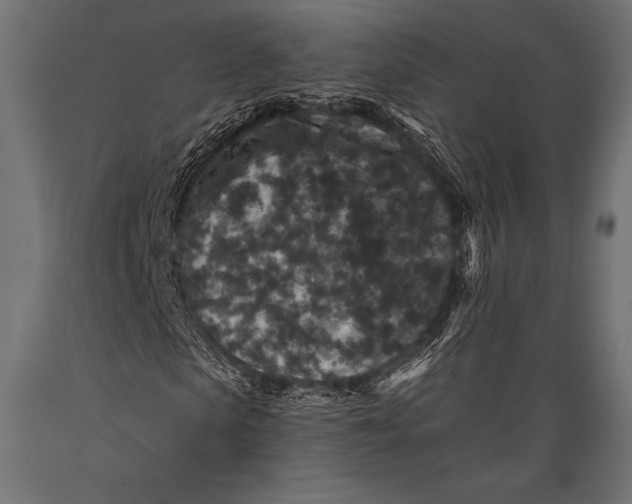 X0000088880913200706291600