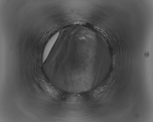 X0000088880916200706291600